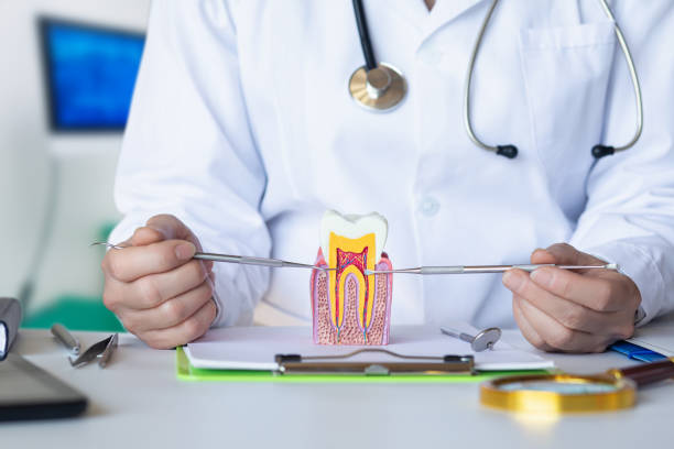 Best Emergency Dental Surgery in Otterbe, IN